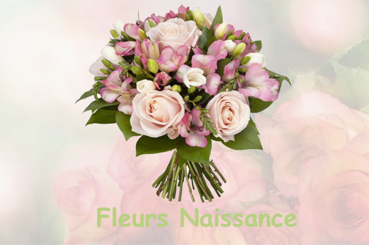 fleurs naissance OURCHES-SUR-MEUSE