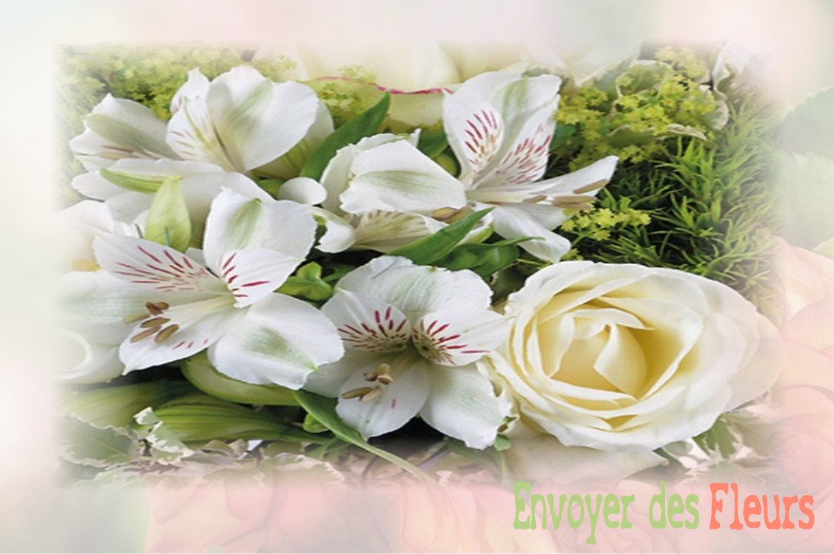 envoyer des fleurs à à OURCHES-SUR-MEUSE