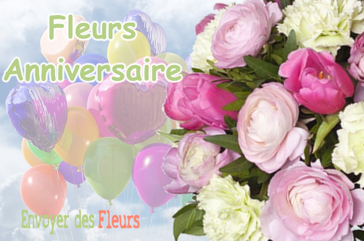 lIVRAISON FLEURS ANNIVERSAIRE à OURCHES-SUR-MEUSE