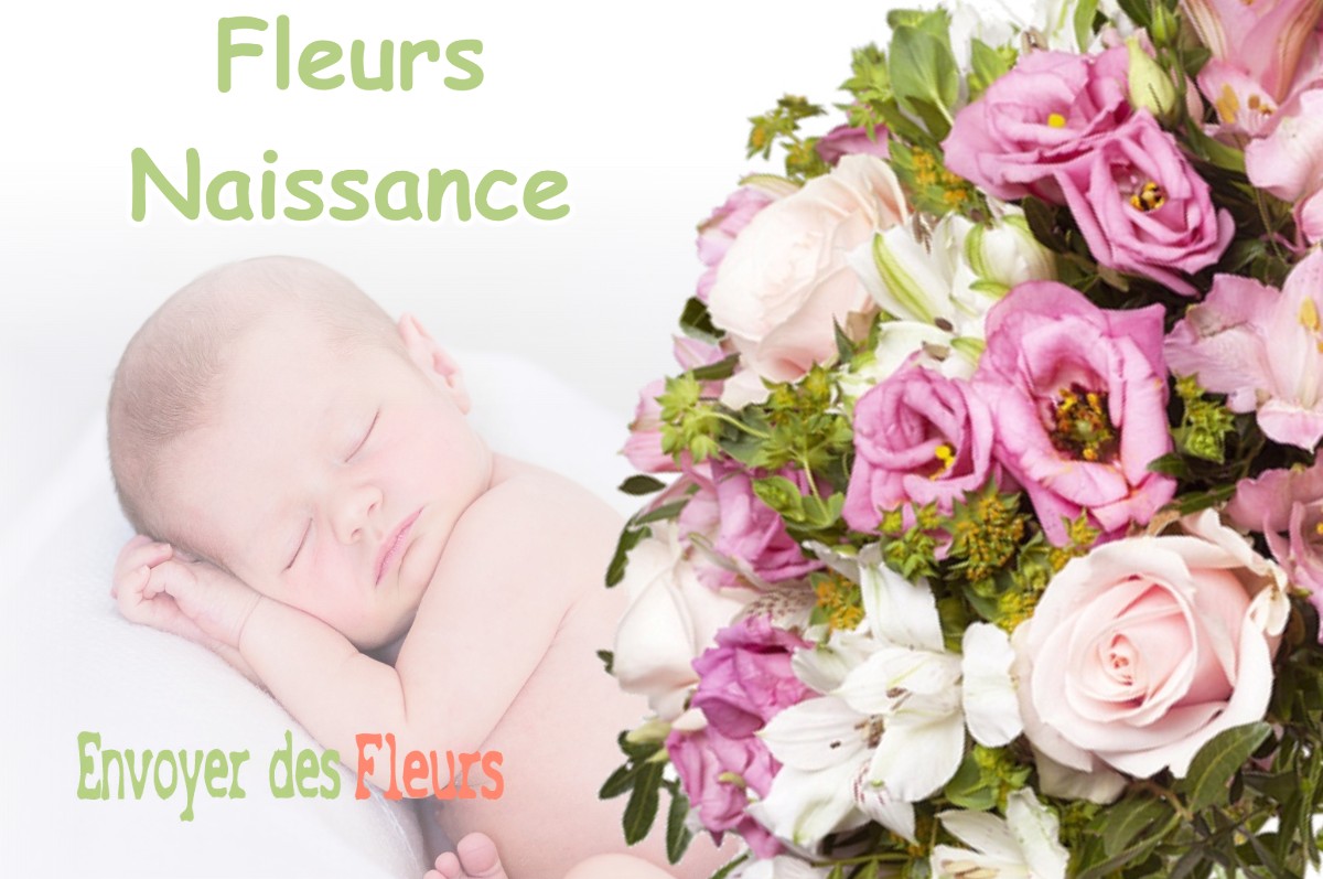 lIVRAISON FLEURS NAISSANCE à OURCHES-SUR-MEUSE